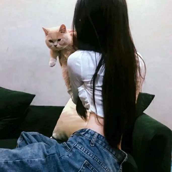 金殿劫美